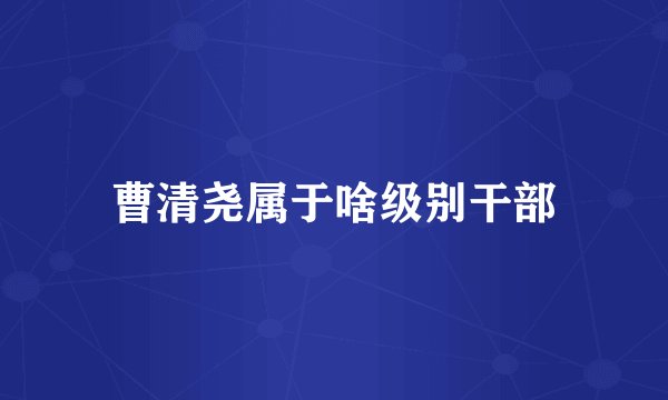 曹清尧属于啥级别干部