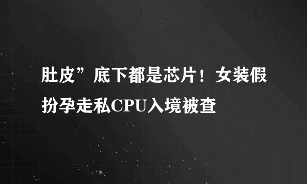 肚皮”底下都是芯片！女装假扮孕走私CPU入境被查