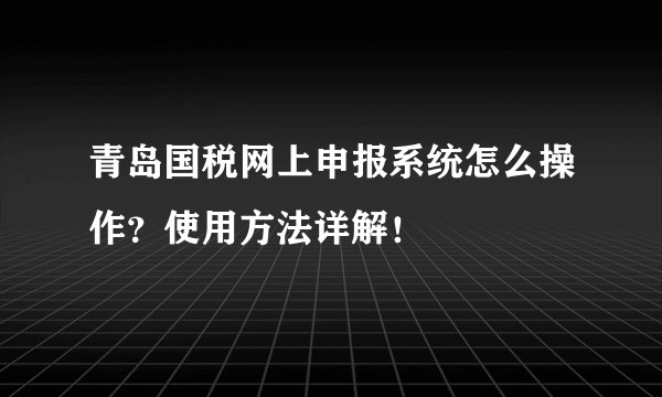青岛国税网上申报系统怎么操作？使用方法详解！