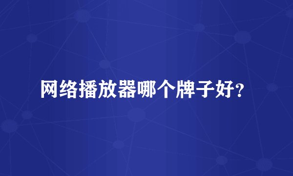 网络播放器哪个牌子好？