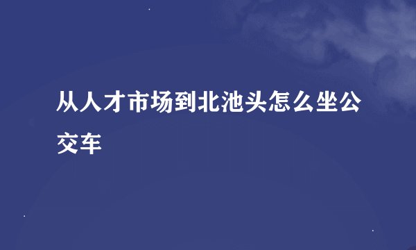 从人才市场到北池头怎么坐公交车
