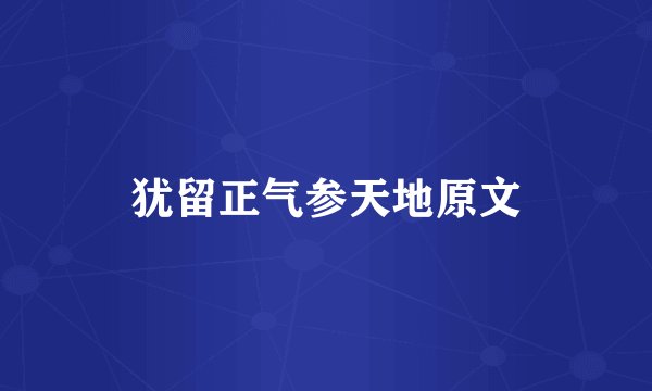 犹留正气参天地原文