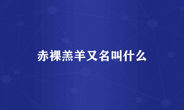 赤裸羔羊又名叫什么