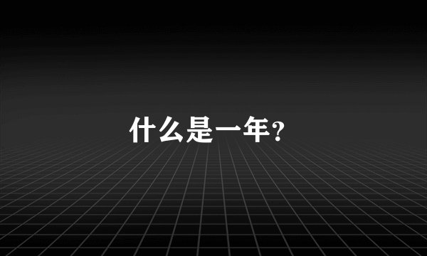 什么是一年？