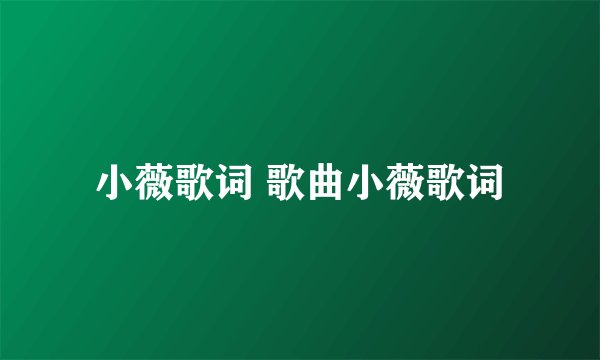 小薇歌词 歌曲小薇歌词