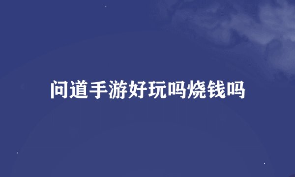 问道手游好玩吗烧钱吗