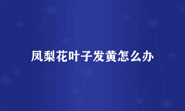 凤梨花叶子发黄怎么办