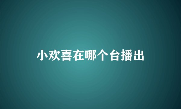 小欢喜在哪个台播出