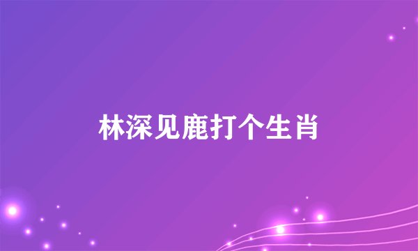 林深见鹿打个生肖