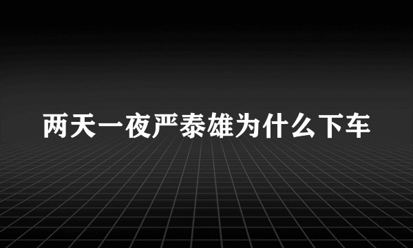 两天一夜严泰雄为什么下车