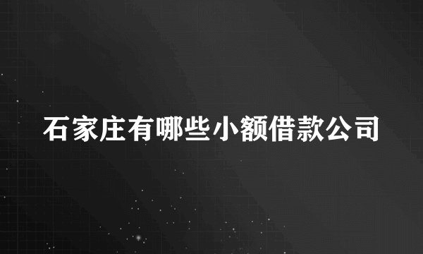 石家庄有哪些小额借款公司