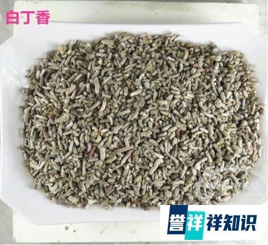 渔民捡到价值千万龙涎香 这是咋情况？