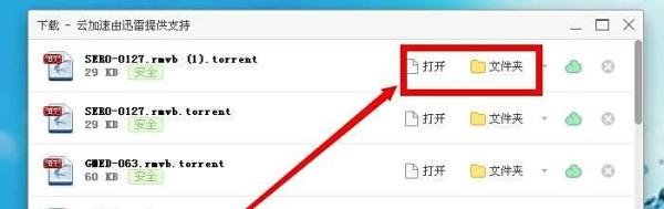 迅雷怎样下载视频种子