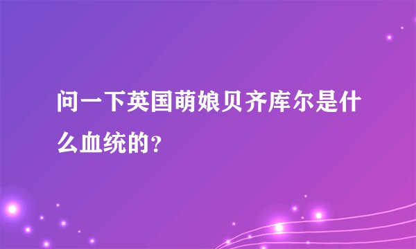 问一下英国萌娘贝齐库尔是什么血统的？