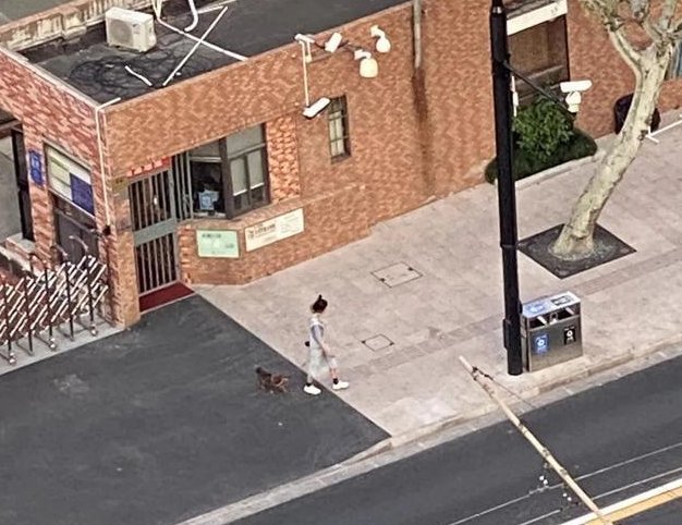 在上海电话亭住了一个月的女人是谁?她为何会被赶走?
