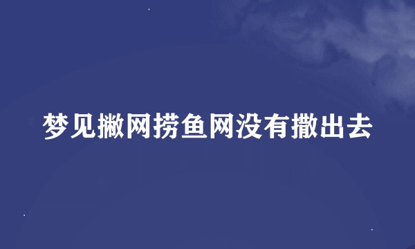 梦见撇网捞鱼网没有撒出去