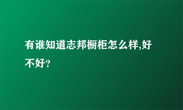 有谁知道志邦橱柜怎么样,好不好？