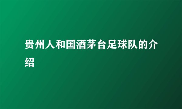 贵州人和国酒茅台足球队的介绍