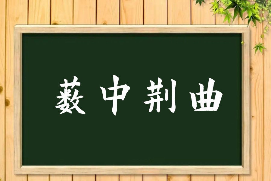 薮中荆曲是什么意思