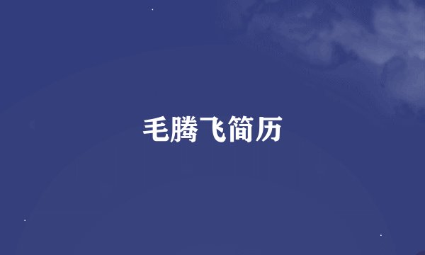 毛腾飞简历