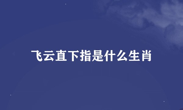 飞云直下指是什么生肖