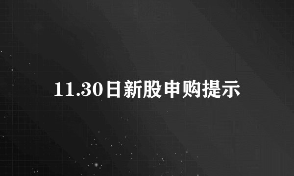 11.30日新股申购提示