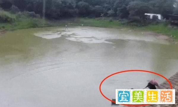 男子雨天钓鱼3次落水，辅警3次相救，命再大也不能忘了安全