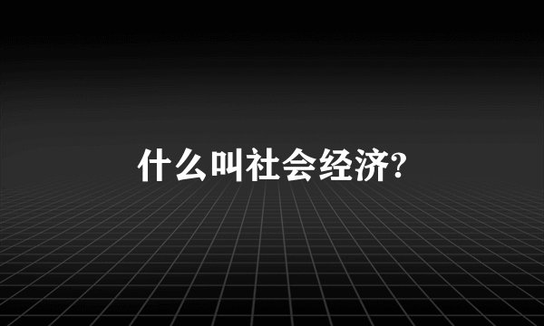 什么叫社会经济?