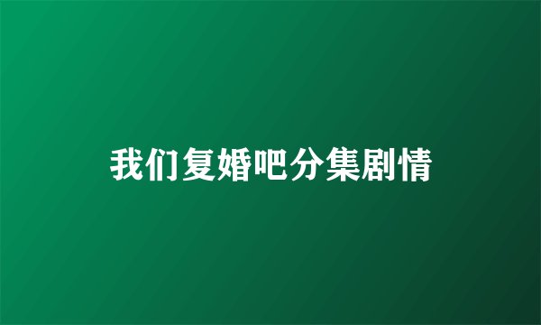我们复婚吧分集剧情