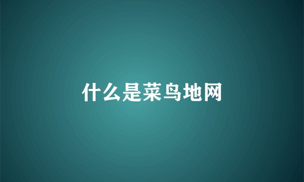 什么是菜鸟地网