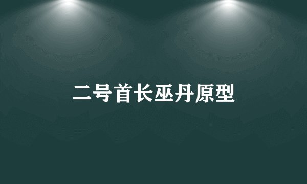 二号首长巫丹原型