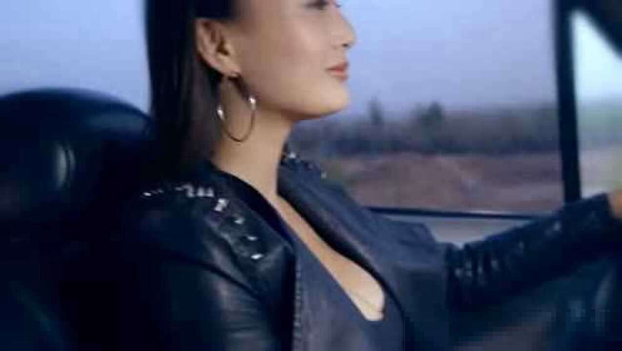 一路路向西主演