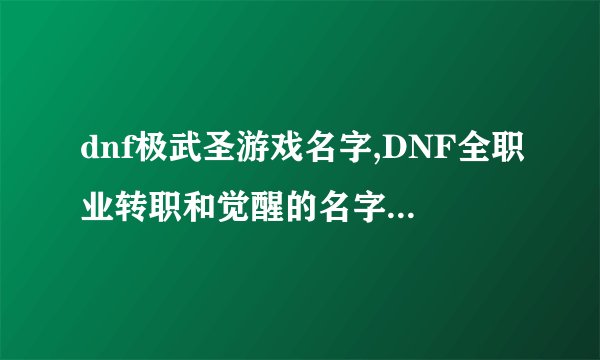 dnf极武圣游戏名字,DNF全职业转职和觉醒的名字_DNF手游