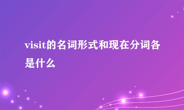 visit的名词形式和现在分词各是什么