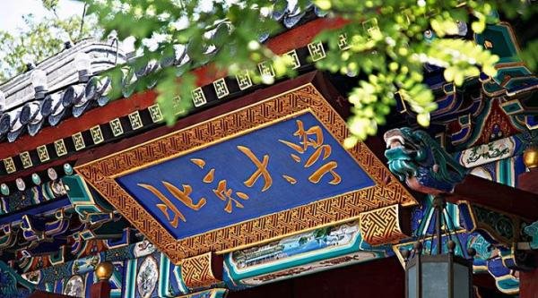 北大研究生应聘小学教师没成功，质疑不公平，结果学霸人设崩塌