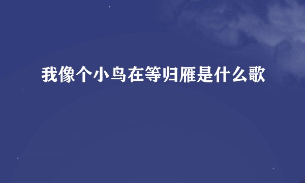 我像个小鸟在等归雁是什么歌