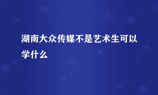 湖南大众传媒不是艺术生可以学什么