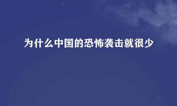 为什么中国的恐怖袭击就很少
