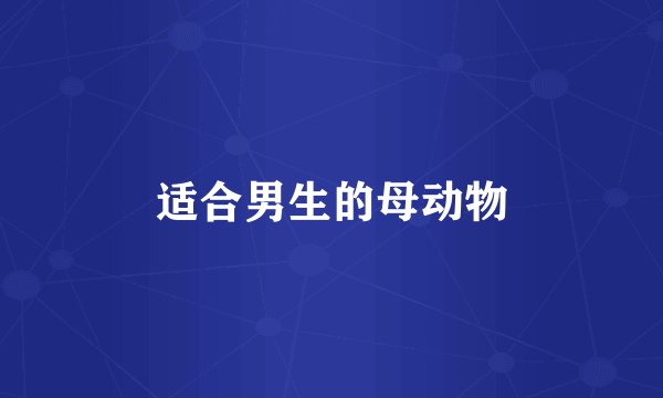 适合男生的母动物