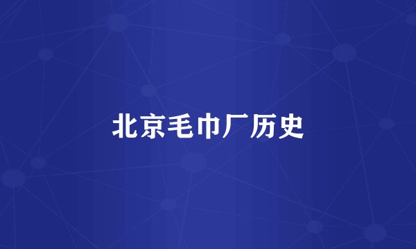 北京毛巾厂历史